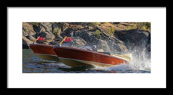 Cobra Framed Print featuring the photograph Cobras 9a by Steven Lapkin