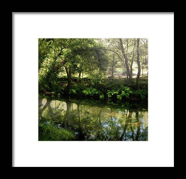 River Framed Print featuring the photograph A Calzada River Beach 1 by Micah Offman