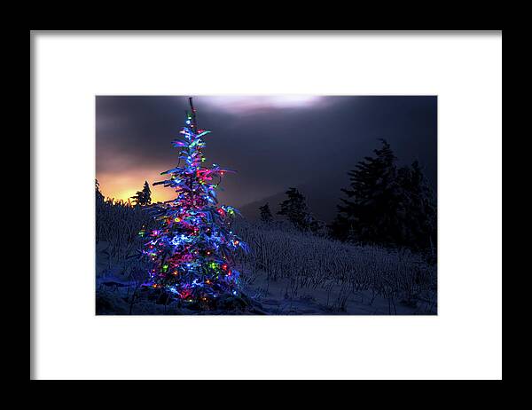 Spruce Framed Print featuring the photograph A Christmas mountain by Serge Skiba