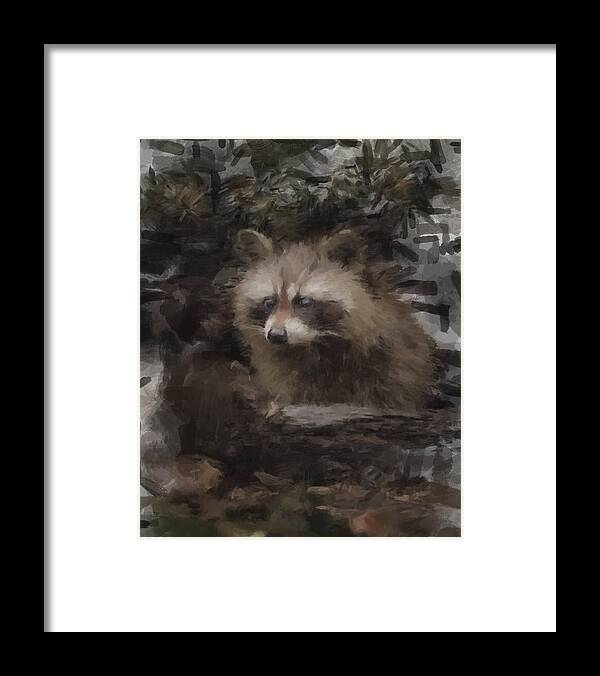 Racoon Framed Print featuring the painting A Cleaver Racoon by Gary Arnold
