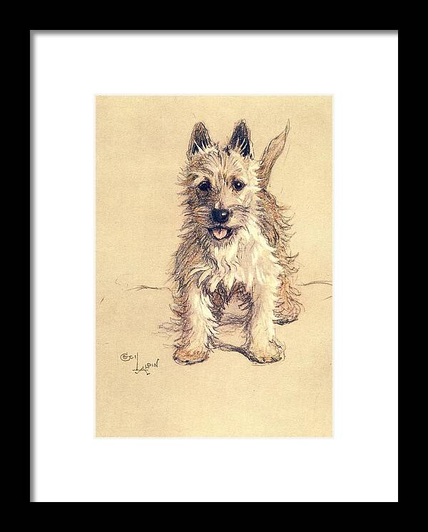 Cecil Aldin Framed Print featuring the drawing A Dozen Dogs or So, Westie by Cecil Aldin