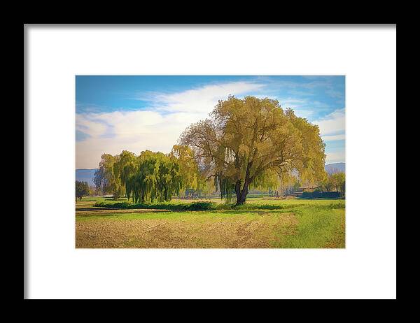 Landscape Framed Print featuring the photograph A fainted tree and an oak in the middle of the meadow. by Jordi Carrio Jamila