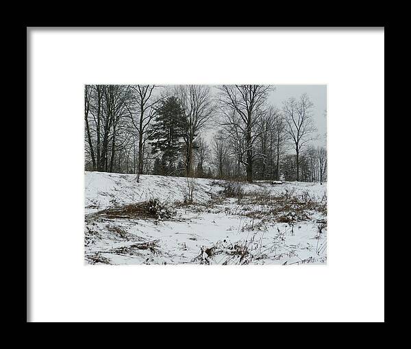 Monochromatic Framed Print featuring the photograph A Field In January with Fallen Goldenrod by Lise Winne