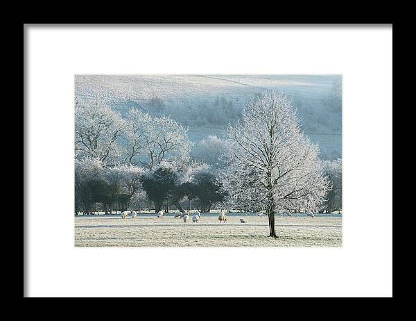 Cold Framed Print featuring the photograph A Frosty Day, Cotswolds, England, UK by Sarah Howard