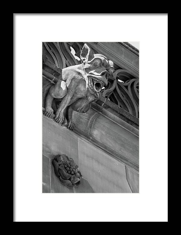 Architecture Framed Print featuring the photograph A Gargoyle in Strasbourg - 1 by W Chris Fooshee