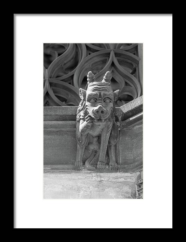 City Framed Print featuring the photograph A Grotesque in Strasbourg - 8 by W Chris Fooshee