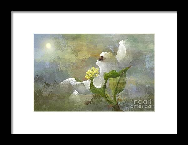 Flower Framed Print featuring the digital art A Light That Shines For Me by Lois Bryan