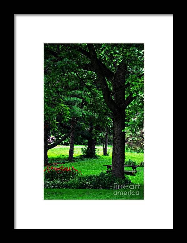 Nature Framed Print featuring the photograph A Lovely Day To Read A Book by Frank J Casella