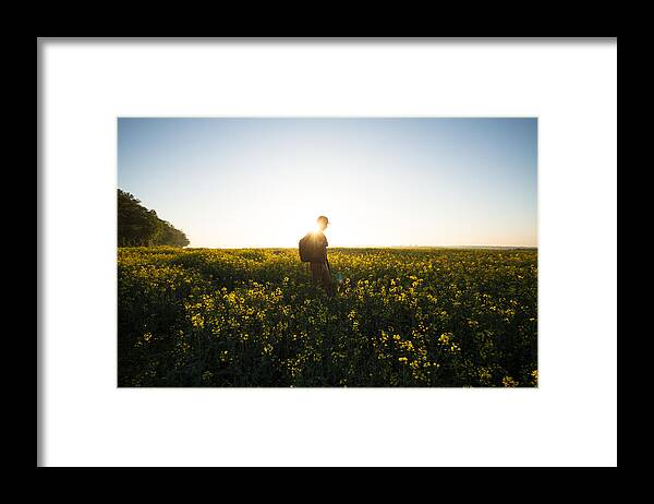 Tranquility Framed Print featuring the photograph A Man Hiking Through Canola Fields at Dawn by Photo by Joel Sharpe