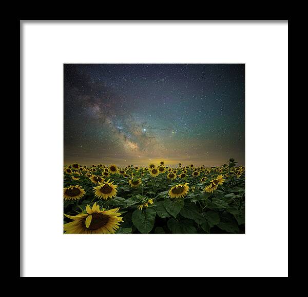 Sunflowers Framed Print featuring the photograph A Million Suns by Aaron J Groen