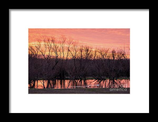 Ducks Framed Print featuring the photograph A New Day by Cheryl McClure