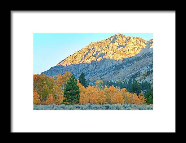 Fall Framed Print featuring the photograph A New Day by Jonathan Nguyen