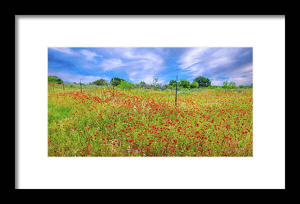 Texas Wildflowers Framed Print featuring the photograph A Perfect Spring Day Panorama by Lynn Bauer