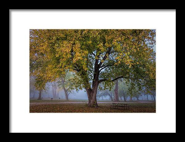 Fall Foliage Framed Print featuring the photograph A Place to Enjoy Fall by Scott Bean