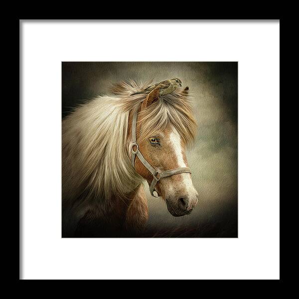 Icelandic Horse Framed Print featuring the digital art A Place to Hide by Maggy Pease