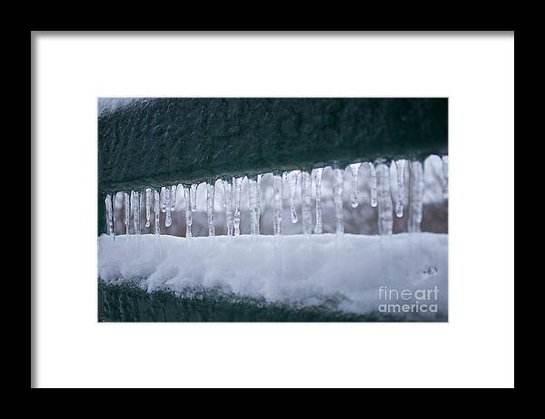 Snow Framed Print featuring the photograph A row of icicles by Yvonne M Smith
