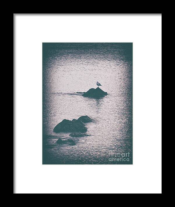 Vintage Framed Print featuring the photograph A Seagull Rests by Phil Perkins