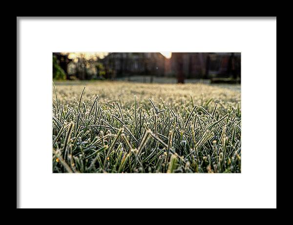 Environment Framed Print featuring the photograph Stem of grass are covering snow. by Vaclav Sonnek