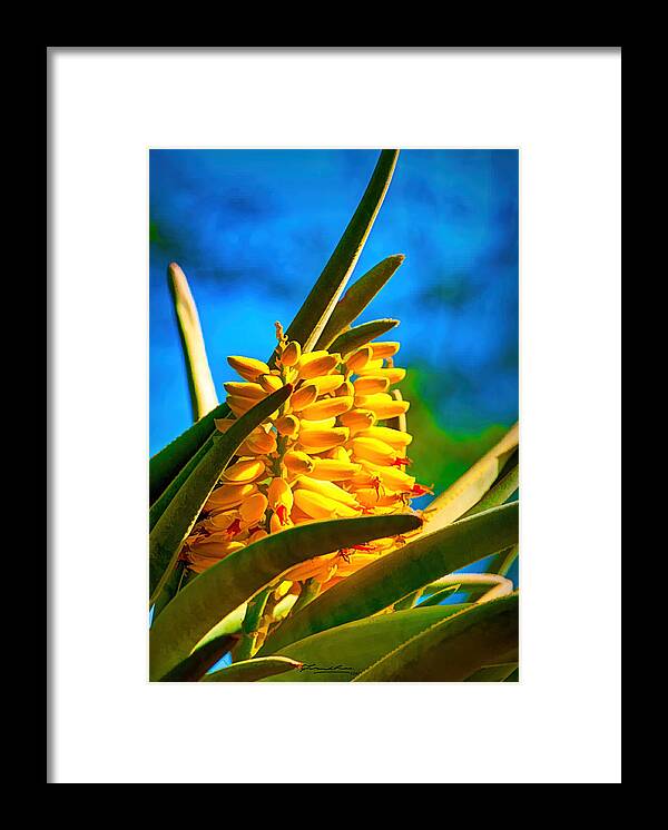 Cactus Framed Print featuring the photograph A study in yellow, green and blue - cactus flower near Phoenix AZ by Frank Lee