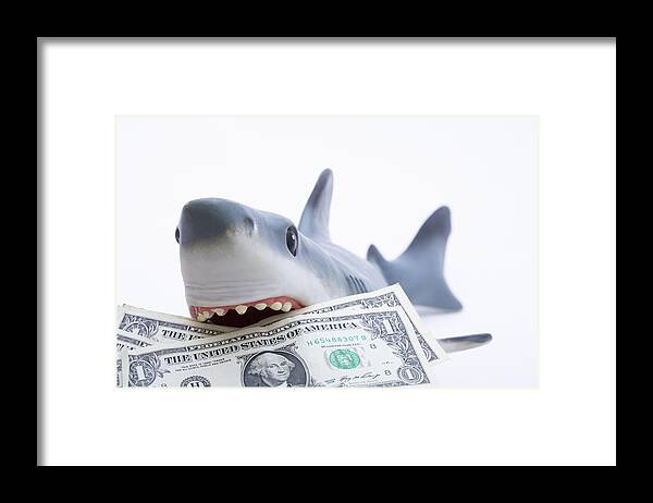 Artificial Framed Print featuring the photograph A toy shark holding U.S. dollar bills by Diane Macdonald