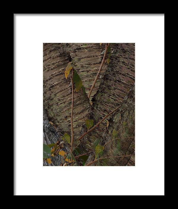 Tree Framed Print featuring the digital art A Tree by Leon deVose