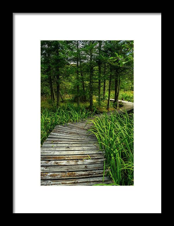 Landscape Framed Print featuring the photograph A Walk in the Park by Jason Funk
