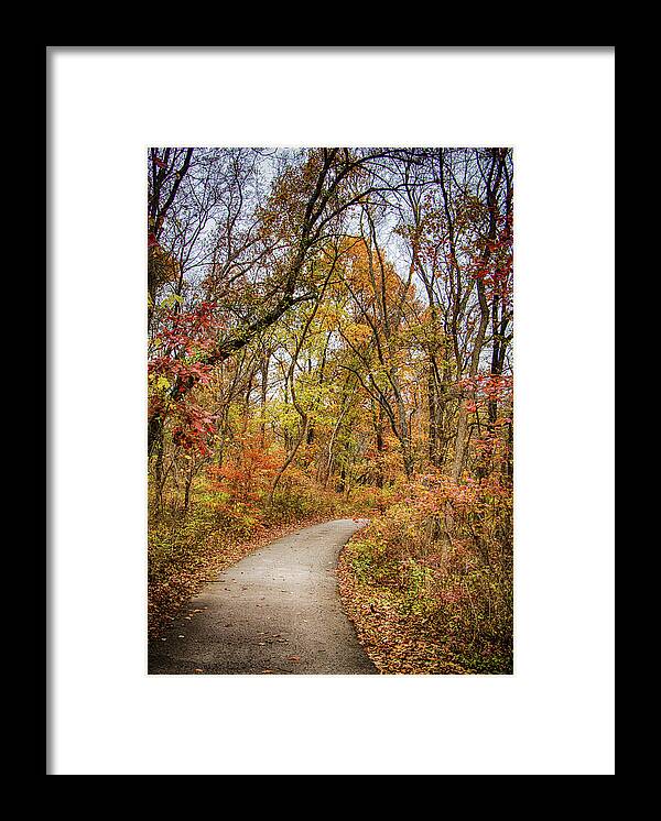 2017 Framed Print featuring the photograph A Walk in the Woods by Gerri Bigler