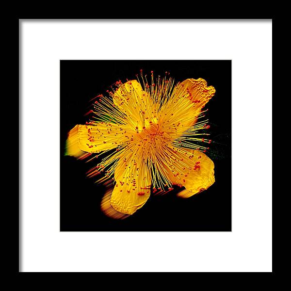 Abstract Framed Print featuring the photograph Aarons Beard Abstract by Jerry Abbott