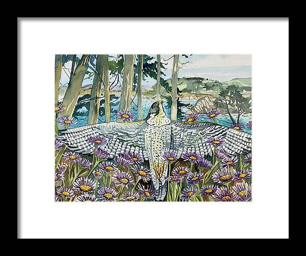 California Framed Print featuring the painting Abalone Cove Peregrine by Luisa Millicent