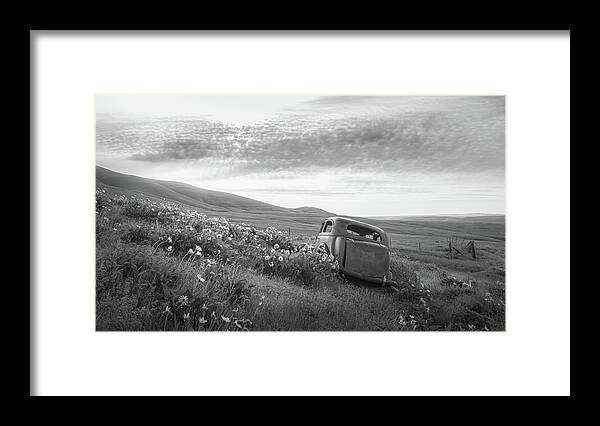 Balsam Root Framed Print featuring the photograph Abandoned in the Field II by Don Schwartz