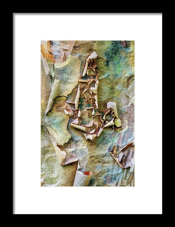 Paperbark Maple Framed Print featuring the photograph Abstract Art In The Tree Trunk by Gary Slawsky