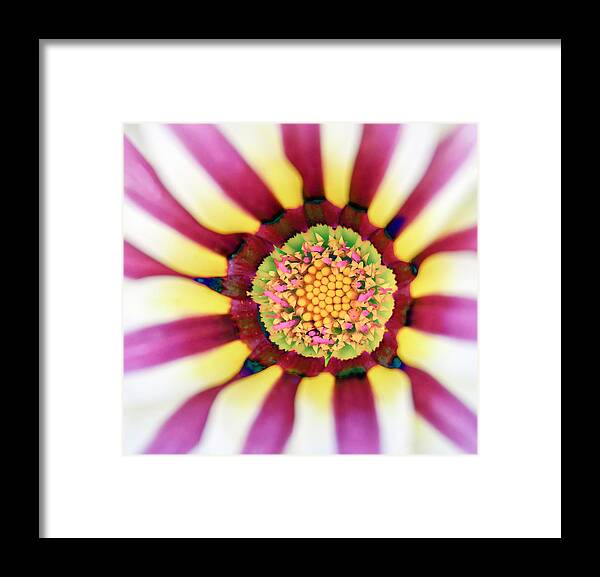Abstract Framed Print featuring the photograph Abstract Flower by WAZgriffin Digital