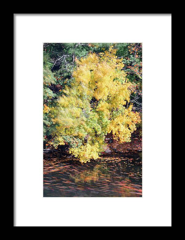 Foliage Abstract Wind Autumn Fall Water Leaves Windy River Framed Print featuring the photograph Abstract Foliage by Brian Hale