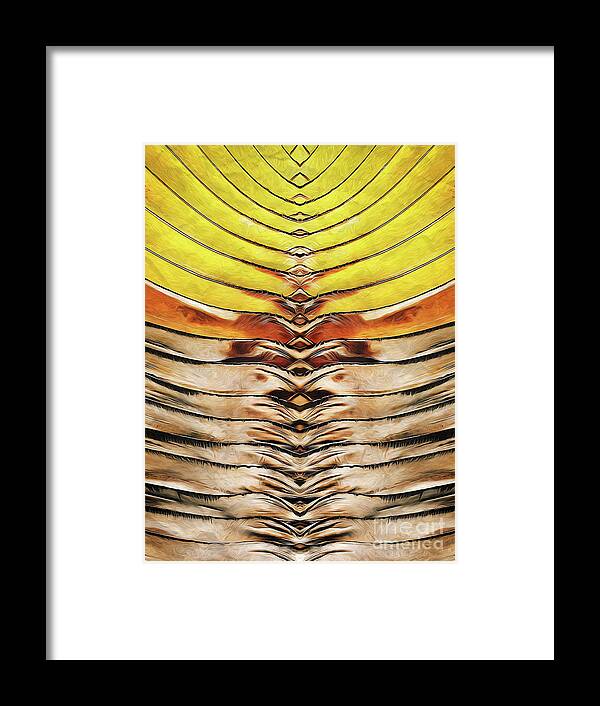 Photography Framed Print featuring the digital art Abstract Palm Frond by Phil Perkins