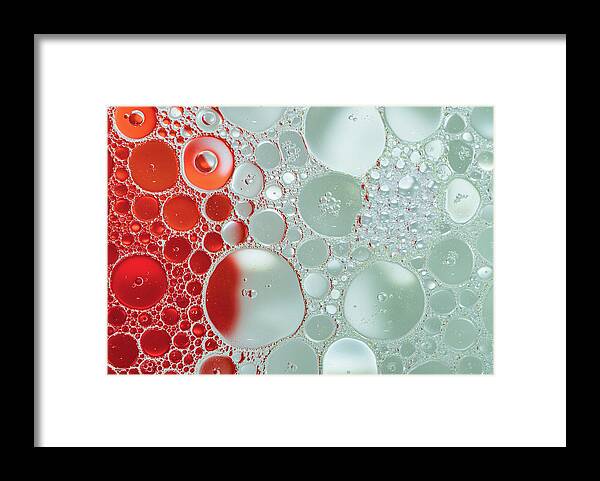 Abstract Photography Framed Print featuring the photograph Abstract Photography - Red and Green by Amelia Pearn