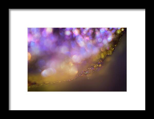 Design Framed Print featuring the photograph Abstract play of light by Maria Dimitrova