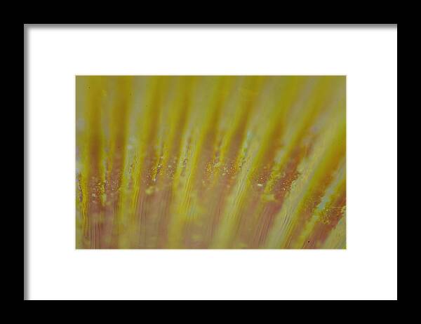 Abstract Framed Print featuring the photograph Abstract Yellow by Neil R Finlay