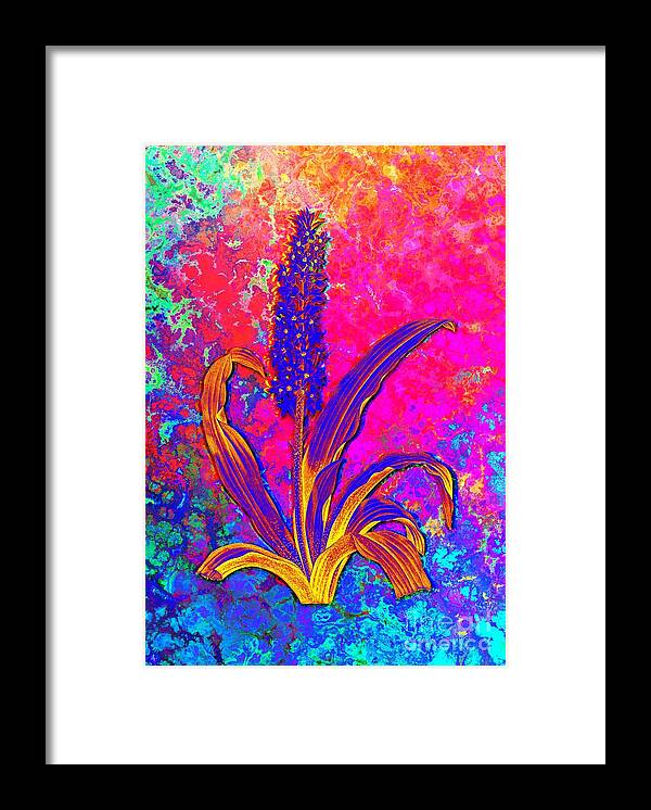 Neon Framed Print featuring the painting Acid Neon Eucomis Punctata Botanical Art n.0335 by Holy Rock Design