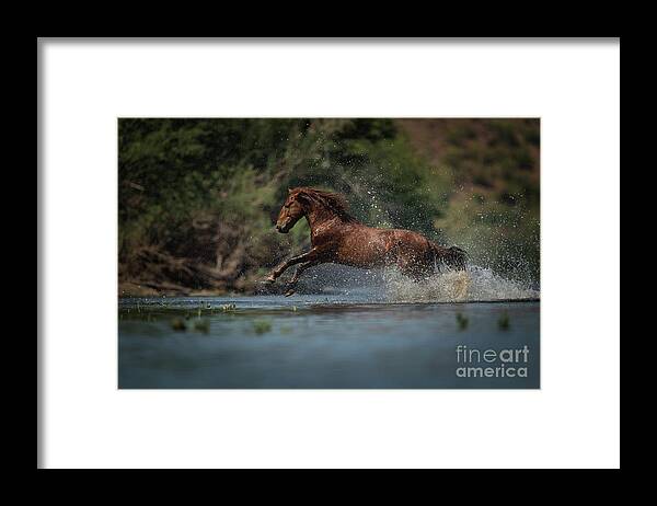 Stallion Framed Print featuring the photograph Action by Shannon Hastings