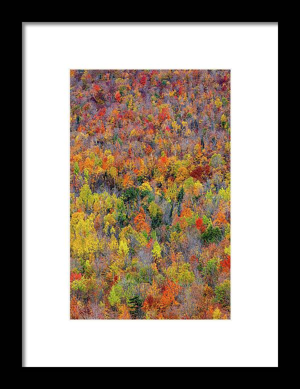 Lake Placid Framed Print featuring the photograph Adirondack Hill Side by Dave Niedbala