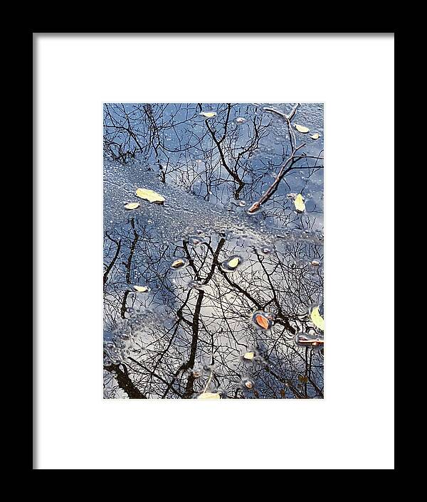 Leaves Framed Print featuring the photograph After The Storm by Greg Joens