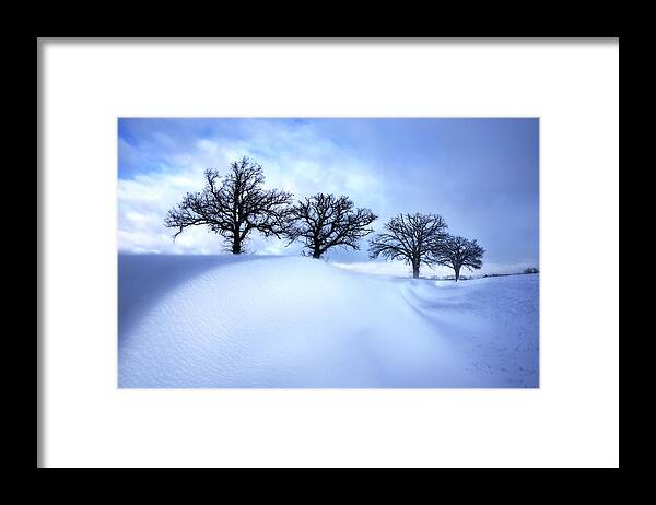 Snow Framed Print featuring the photograph After the Storm - Oak trees with snowdrift after a snowstorm by Peter Herman
