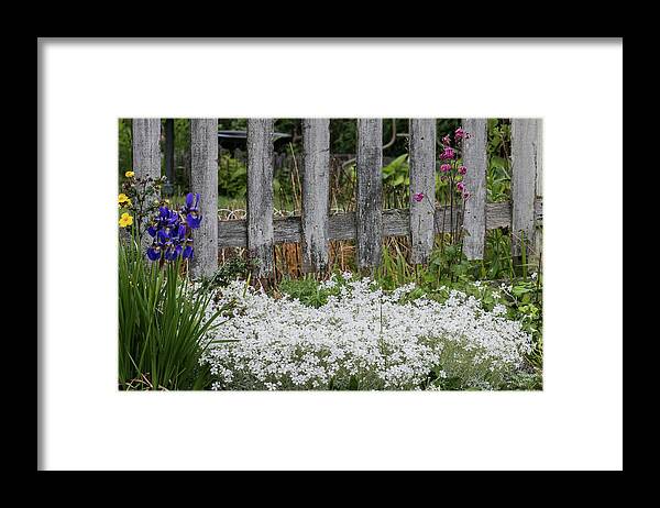 Old Fence Framed Print featuring the photograph Aged and Weathered Fence by E Faithe Lester