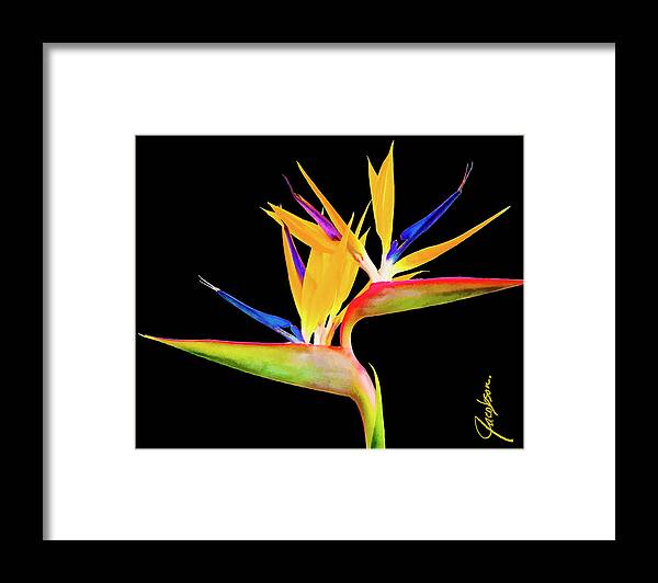 Bird Of Paradise Framed Print featuring the painting Aida BOP Landscape by Jackie Medow-Jacobson