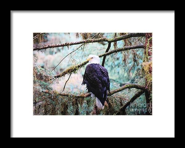 Alaska Framed Print featuring the digital art Alaska Bald Eagle by Doug Gist