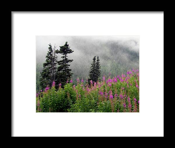 Skagway Framed Print featuring the photograph Alaska Pines and Wildflowers by Karen Zuk Rosenblatt