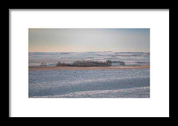 Agriculture Framed Print featuring the photograph Alberta winter wheat farm landscape by Karen Rispin