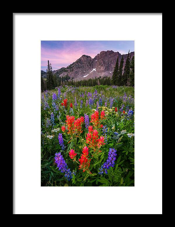 Albion Basin Framed Print featuring the photograph Albion Blush by Ryan Smith