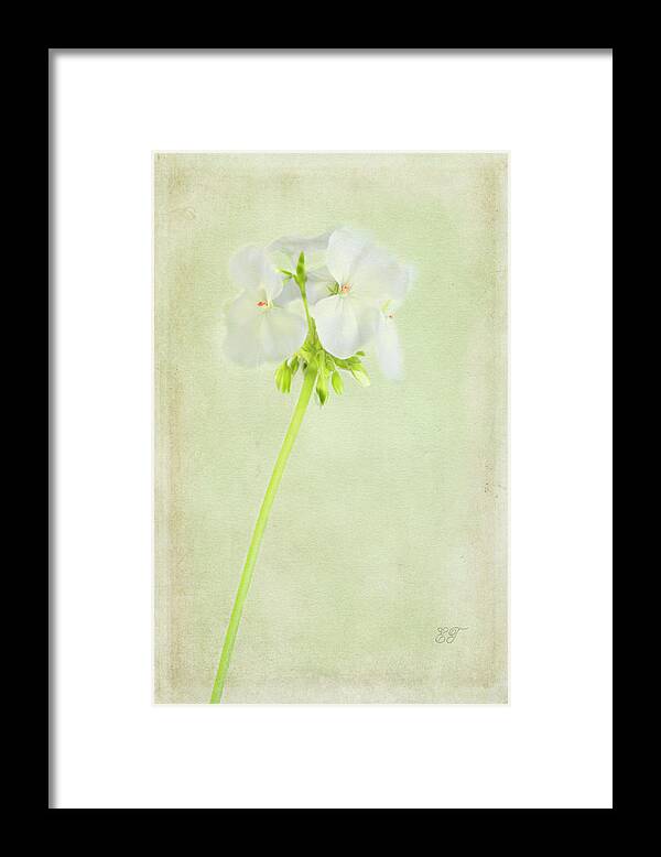 Flowers Framed Print featuring the photograph White Geranium 2 by Elaine Teague