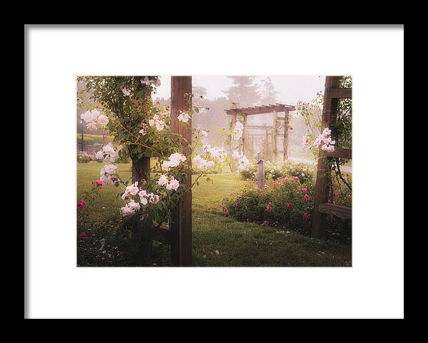 Allentown Framed Print featuring the photograph Allentown Rose Gardens - Through the Arbors by Jason Fink